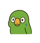 困惑インコくんの毎日ぽかん（個別スタンプ：24）