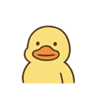 ぼーっとアヒルくんのふわふわ日常（個別スタンプ：3）
