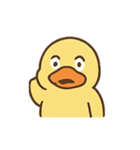 ぼーっとアヒルくんのふわふわ日常（個別スタンプ：10）