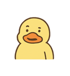 ぼーっとアヒルくんのふわふわ日常（個別スタンプ：11）