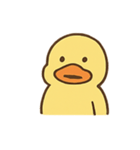 ぼーっとアヒルくんのふわふわ日常（個別スタンプ：16）