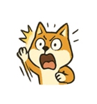 びっくり柴犬くんのオーバーリアクション（個別スタンプ：12）