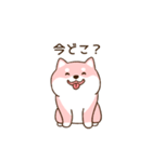 笑顔でかれぴの浮気を詰める柴犬彼女（個別スタンプ：3）
