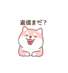 笑顔でかれぴの浮気を詰める柴犬彼女（個別スタンプ：13）