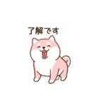 笑顔でかれぴの浮気を詰める柴犬彼女（個別スタンプ：19）