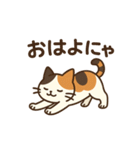 しっぽのことば(三毛猫編)（個別スタンプ：1）