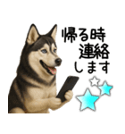 シベリアンハスキー★家族連絡・恋人友人（個別スタンプ：3）
