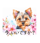 水彩ヨークシャー・テリアスタンプ（個別スタンプ：4）