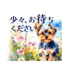 水彩ヨークシャー・テリアスタンプ（個別スタンプ：12）