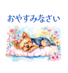 水彩ヨークシャー・テリアスタンプ（個別スタンプ：14）