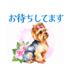 水彩ヨークシャー・テリアスタンプ（個別スタンプ：15）
