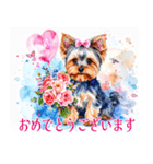 水彩ヨークシャー・テリアスタンプ（個別スタンプ：18）
