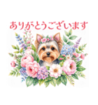 水彩ヨークシャー・テリアスタンプ（個別スタンプ：19）