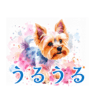 水彩ヨークシャー・テリアスタンプ（個別スタンプ：22）