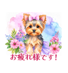 水彩ヨークシャー・テリアスタンプ（個別スタンプ：26）