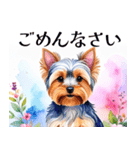 水彩ヨークシャー・テリアスタンプ（個別スタンプ：27）