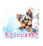 水彩ヨークシャー・テリアスタンプ（個別スタンプ：28）