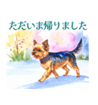 水彩ヨークシャー・テリアスタンプ（個別スタンプ：29）