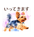 水彩ヨークシャー・テリアスタンプ（個別スタンプ：31）