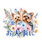 水彩ヨークシャー・テリアスタンプ（個別スタンプ：34）