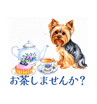 水彩ヨークシャー・テリアスタンプ（個別スタンプ：36）
