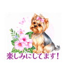 水彩ヨークシャー・テリアスタンプ（個別スタンプ：37）