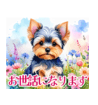 水彩ヨークシャー・テリアスタンプ（個別スタンプ：38）