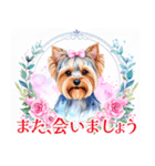 水彩ヨークシャー・テリアスタンプ（個別スタンプ：40）