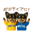 ポジティブな気持ちを伝える☆黒チワワ（個別スタンプ：6）