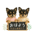 ポジティブな気持ちを伝える☆黒チワワ（個別スタンプ：9）