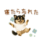 ポジティブな気持ちを伝える☆黒チワワ（個別スタンプ：15）