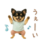 ポジティブな気持ちを伝える☆黒チワワ（個別スタンプ：19）