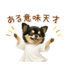 ポジティブな気持ちを伝える☆黒チワワ（個別スタンプ：22）
