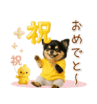 ポジティブな気持ちを伝える☆黒チワワ（個別スタンプ：23）