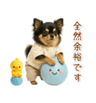 ポジティブな気持ちを伝える☆黒チワワ（個別スタンプ：25）