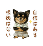 ポジティブな気持ちを伝える☆黒チワワ（個別スタンプ：26）