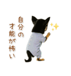 ポジティブな気持ちを伝える☆黒チワワ（個別スタンプ：27）