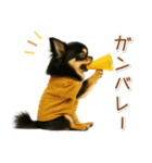 ポジティブな気持ちを伝える☆黒チワワ（個別スタンプ：29）