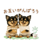 ポジティブな気持ちを伝える☆黒チワワ（個別スタンプ：30）