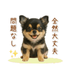 ポジティブな気持ちを伝える☆黒チワワ（個別スタンプ：32）