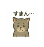 不憫なねこ。（個別スタンプ：1）