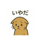 不憫なねこ。（個別スタンプ：2）