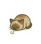 不憫なねこ。（個別スタンプ：9）