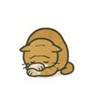 不憫なねこ。（個別スタンプ：13）
