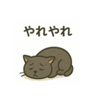不憫なねこ。（個別スタンプ：14）