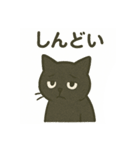不憫なねこ。（個別スタンプ：18）