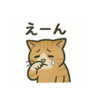 不憫なねこ。（個別スタンプ：19）