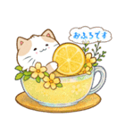ぷくぷくはちわれ・グルメ便り（個別スタンプ：6）