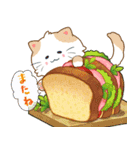 ぷくぷくはちわれ・グルメ便り（個別スタンプ：7）