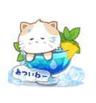 ぷくぷくはちわれ・グルメ便り（個別スタンプ：13）